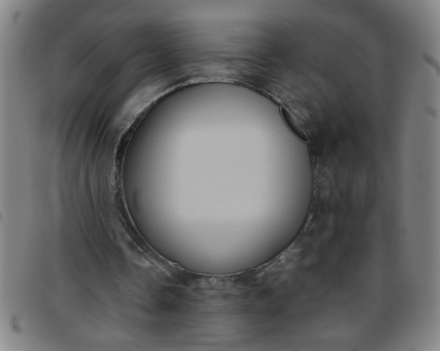 X0000097460338200803071636