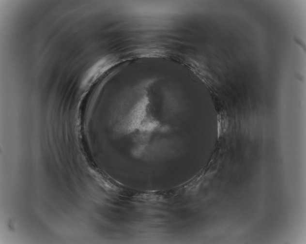 X0000097460339200803071636