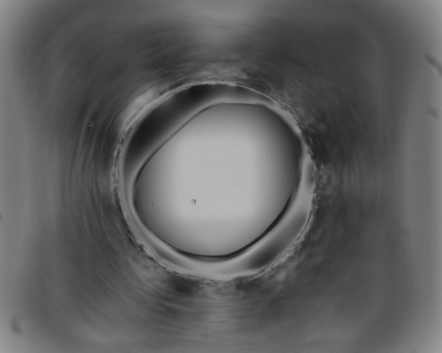 X0000097460340200803071636