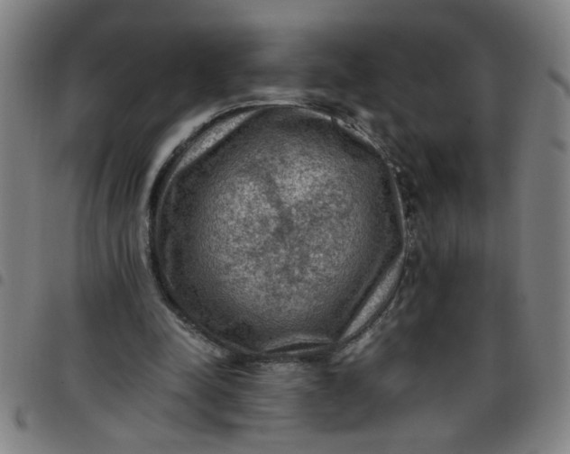 X0000097460342200803071636