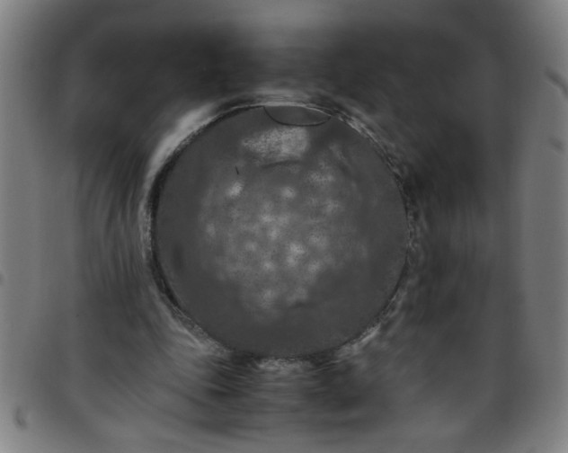 X0000097460343200803071636