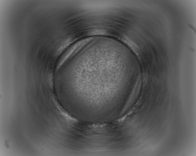 X0000097460345200803071636