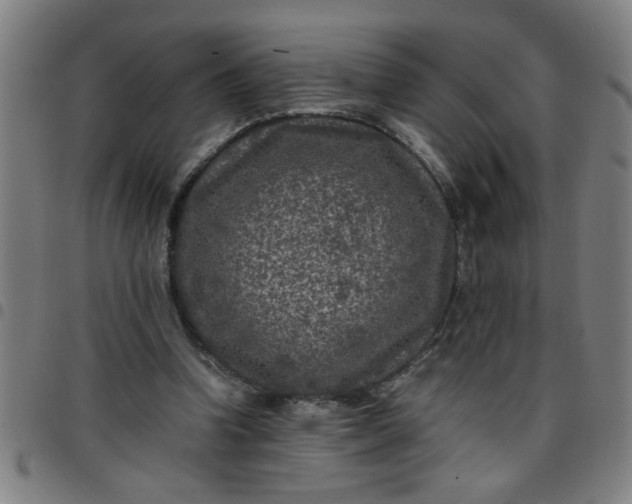 X0000097460346200803071636