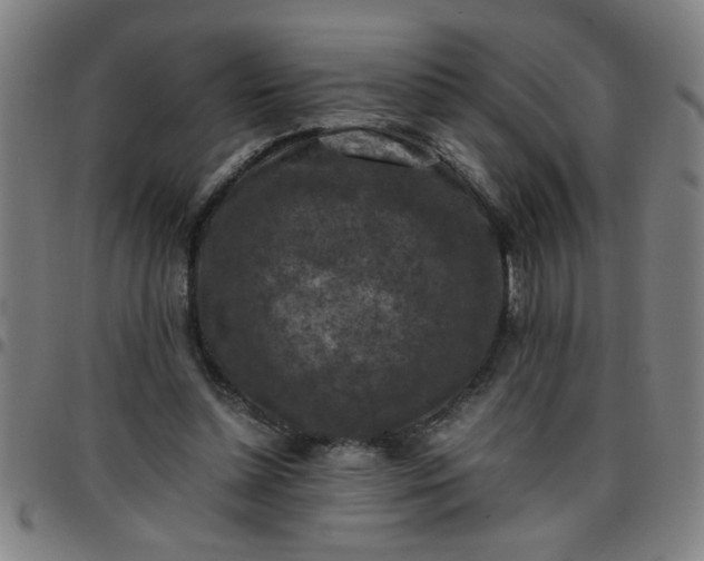 X0000097460348200803071636