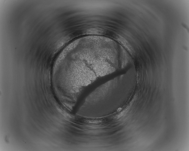 X0000097460349200803071636