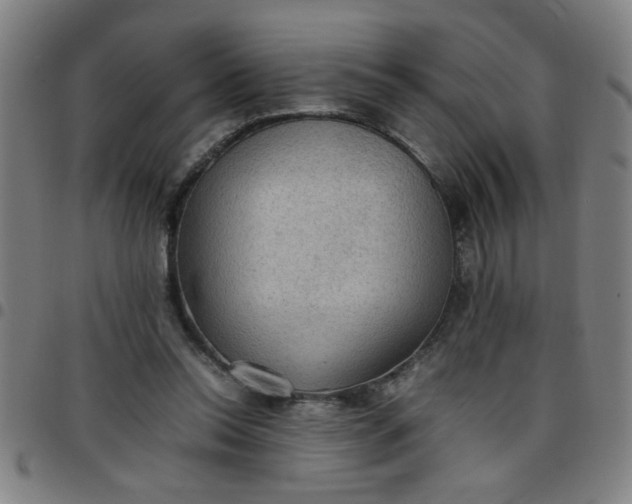 X0000097460350200803071636