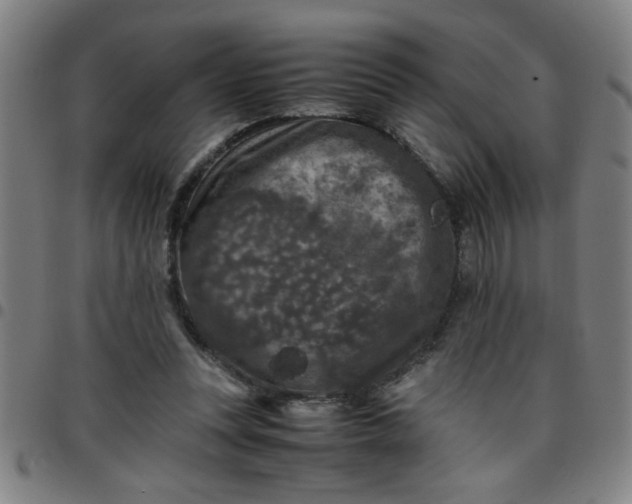 X0000097460351200803071636