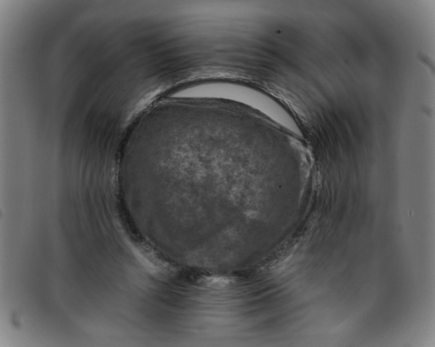 X0000097460352200803071636