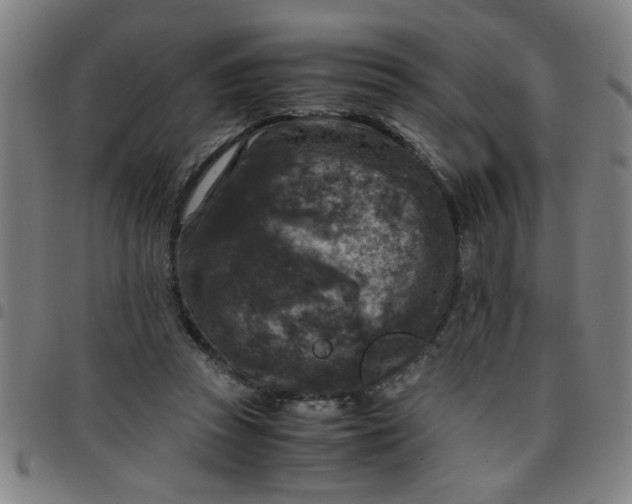 X0000097460353200803071636