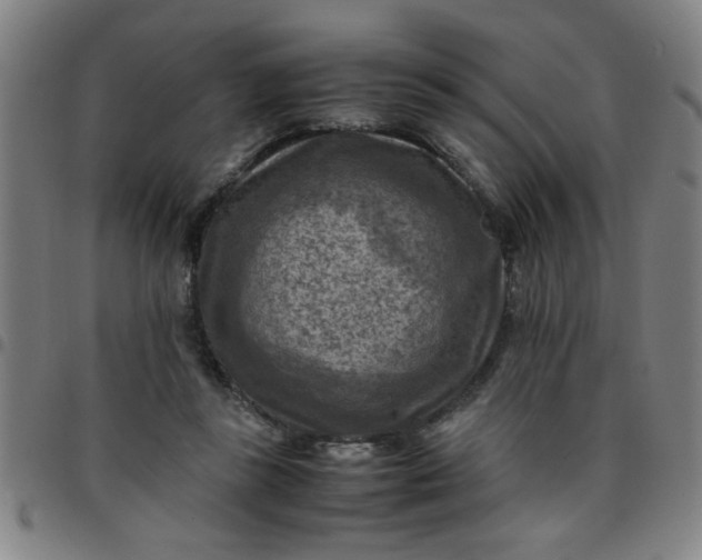 X0000097460355200803071636