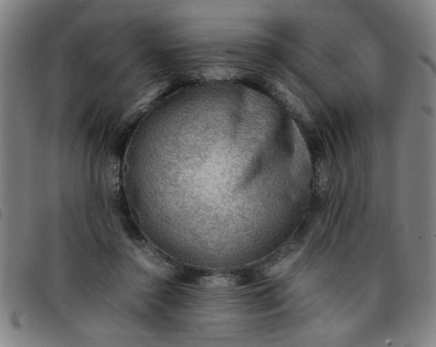 X0000097460356200803071636