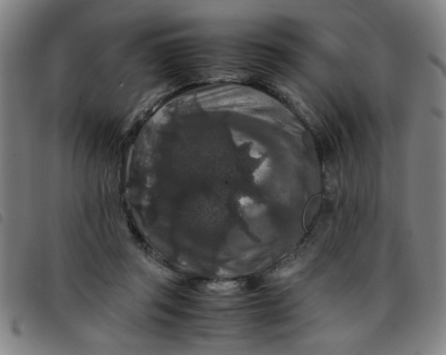 X0000097460357200803071636