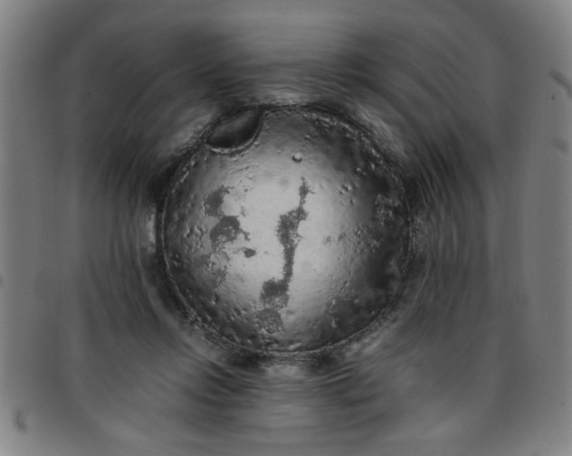 X0000097460358200803071636