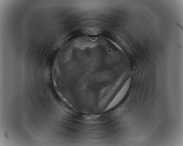 X0000097460359200803071636