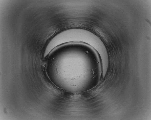 X0000097460362200803071636