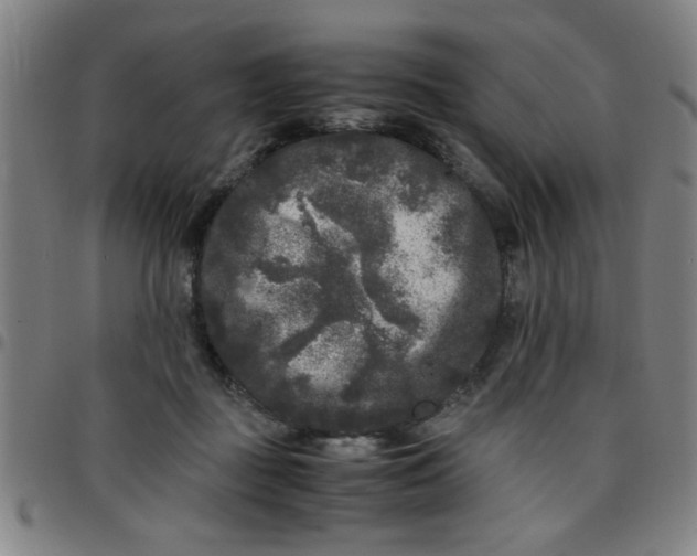 X0000097460363200803071636