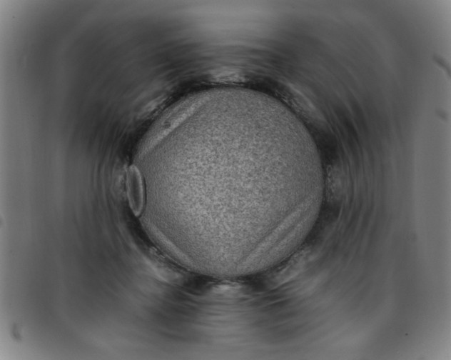 X0000097460364200803071636