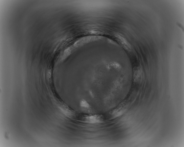 X0000097460365200803071636