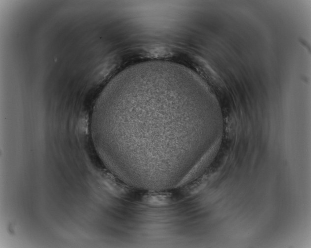 X0000097460368200803071636