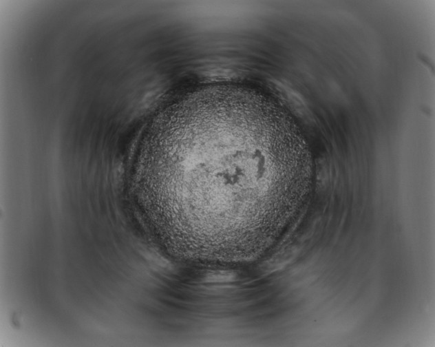 X0000097460369200803071636