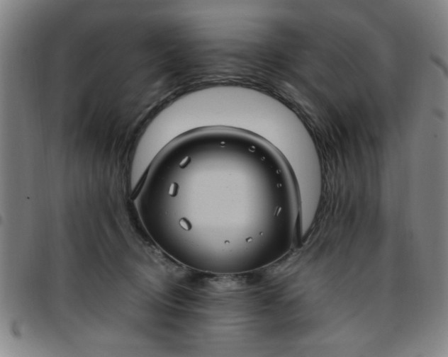 X0000097460370200803071636