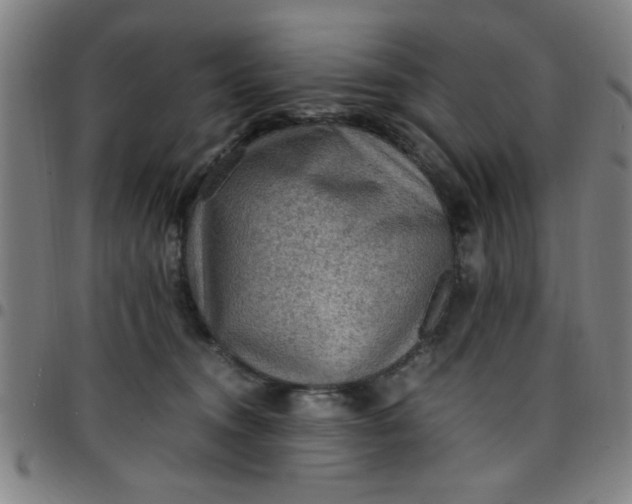 X0000097460372200803071636