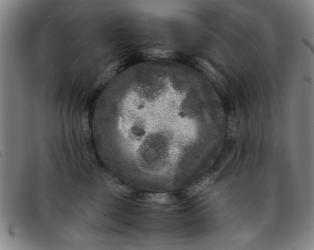 X0000097460377200803071636