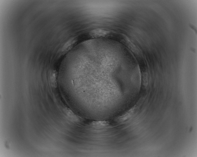 X0000097460378200803071636