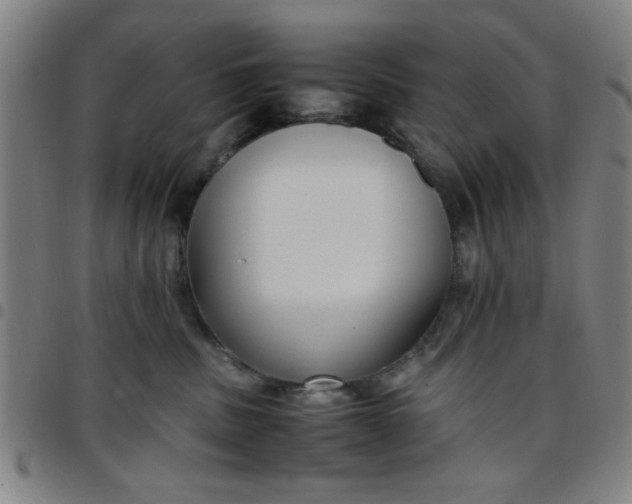 X0000097460379200803071636