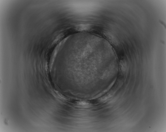 X0000097460380200803071636