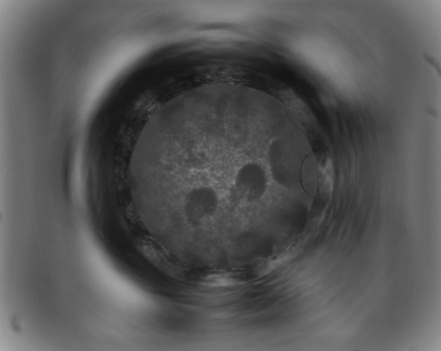 X0000097460381200803071636