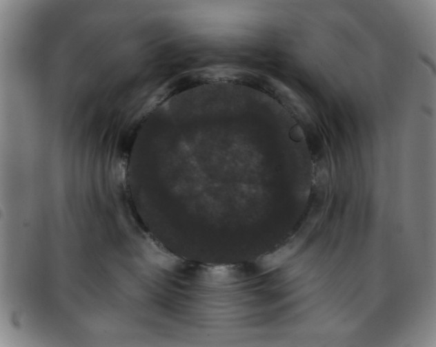 X0000097460382200803071636