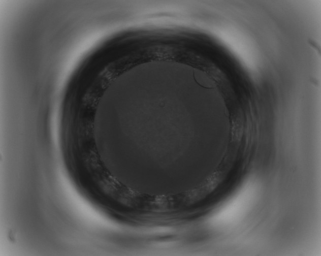 X0000097460383200803071636