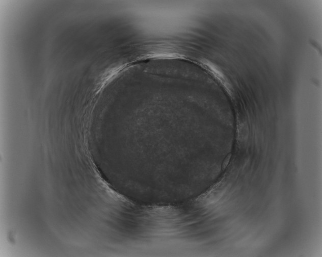 X0000097460385200803071636