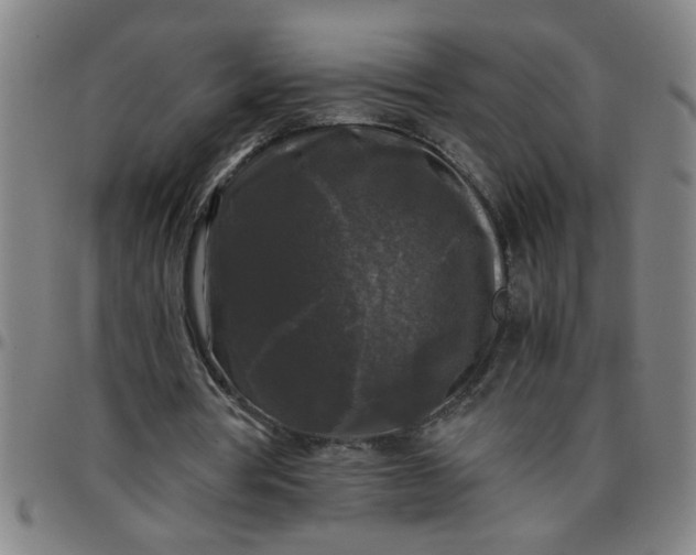 X0000097460386200803071636