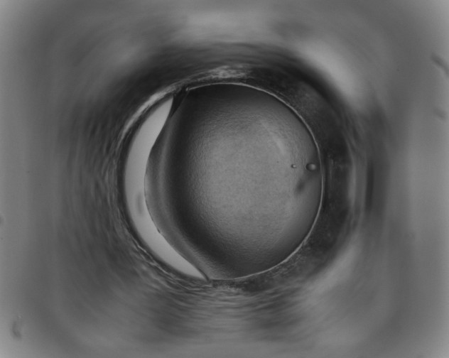 X0000097460387200803071636