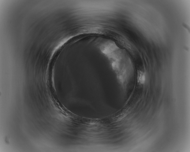 X0000097460388200803071636