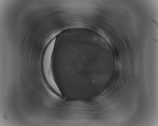 X0000097460389200803071636