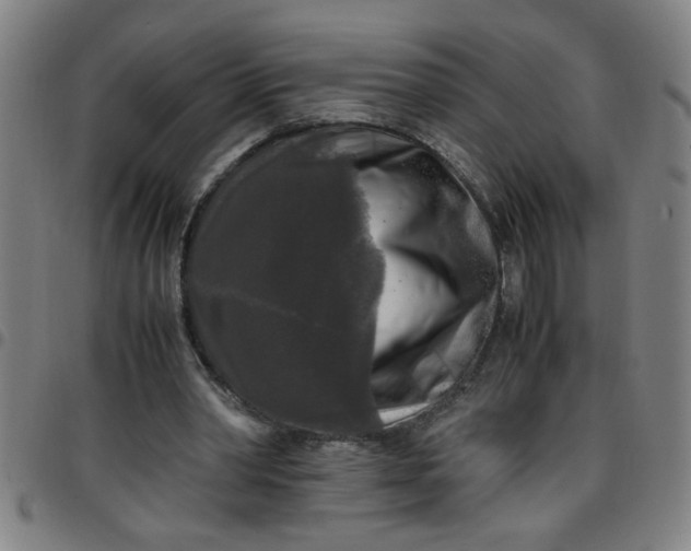 X0000097460390200803071636