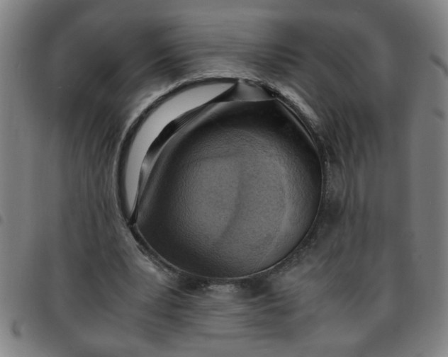 X0000097460391200803071636