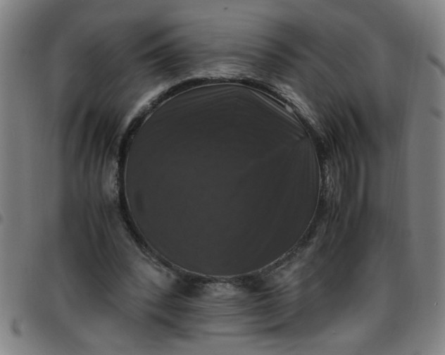 X0000097460392200803071636