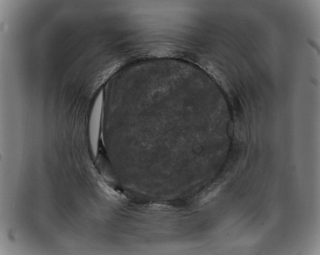 X0000097460393200803071636