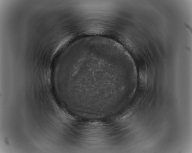 X0000097460396200803071636