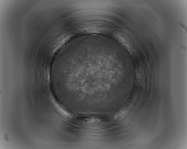 X0000097460398200803071636