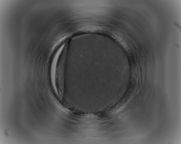 X0000097460399200803071636