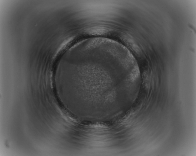 X0000097460400200803071636