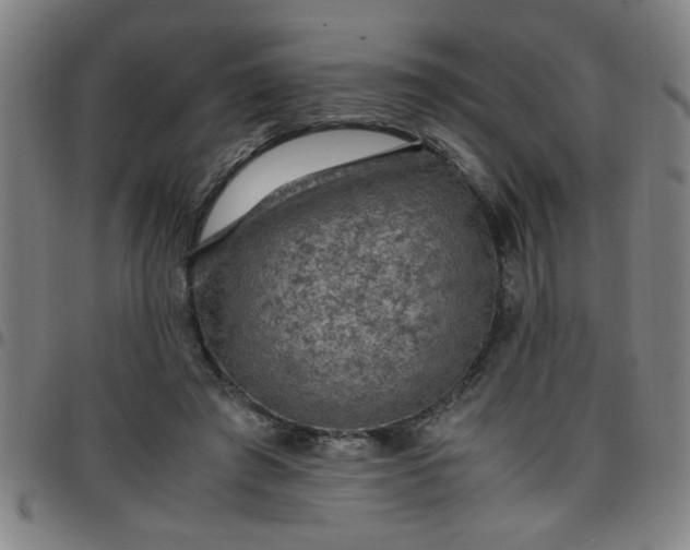 X0000097460401200803071636