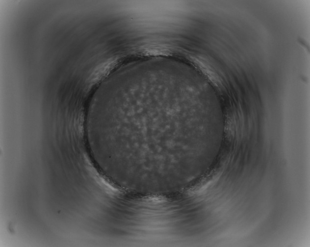 X0000097460402200803071636