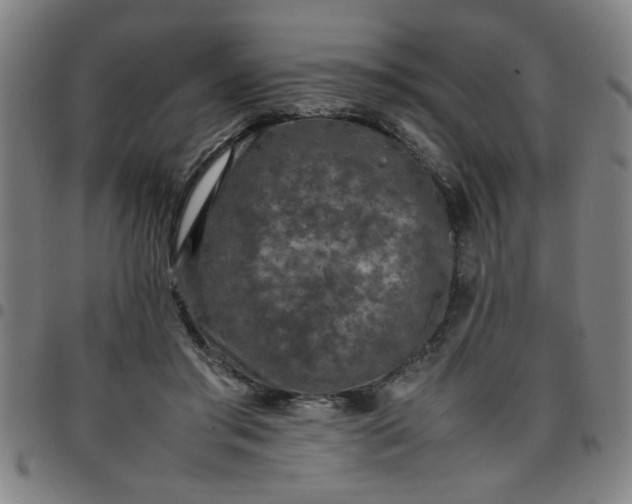 X0000097460405200803071635