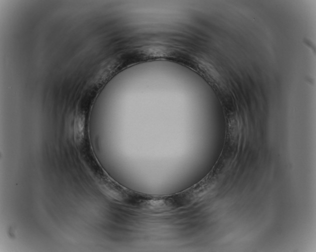 X0000097460406200803071635